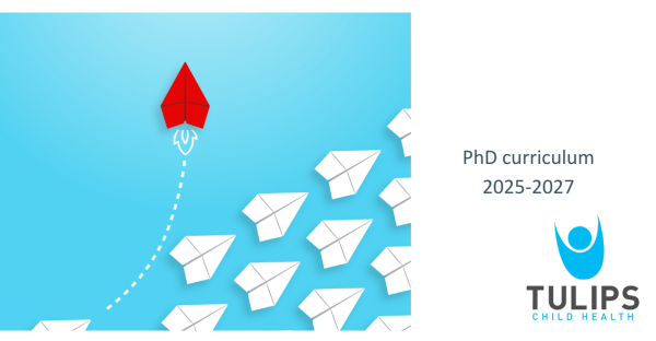 PhD curriculum 2024 2026